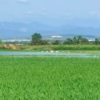 IMG20240817100410 